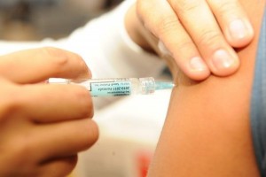 Saúde alerta para vigilância e imunização contra febre amarela