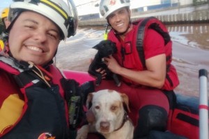 Bombeiros de Goiás resgatam vítimas e animais em ações no Rio Grande do Sul