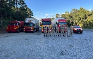 Goiás Solidário: ajuda chega ao RS com mais de 290 toneladas de donativos