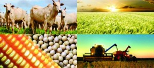 Exportações de Goiás alcançam recorde em abril, impulsionadas pela agricultura