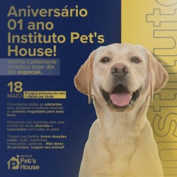 Instituto Pets House celebra um ano em Goianésia com feira de adoção