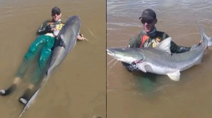 Peixe conhecido como “tubarão dos rios” impressiona em pescaria no Araguaia